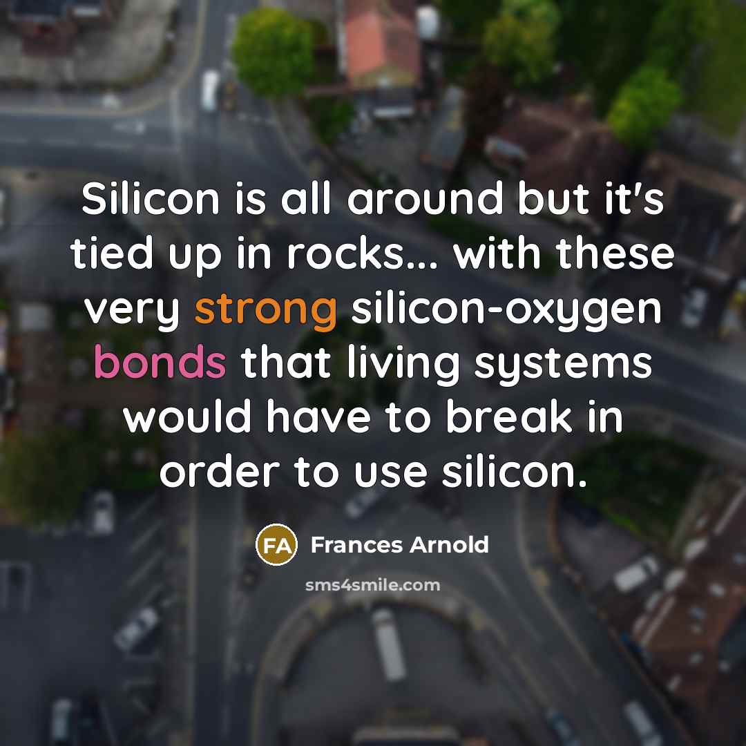 “Silicon is all around but it's tied up in rocks... with these very strong silicon-oxygen bonds that living systems would have to break in order to use silicon.” quote by Frances Arnold