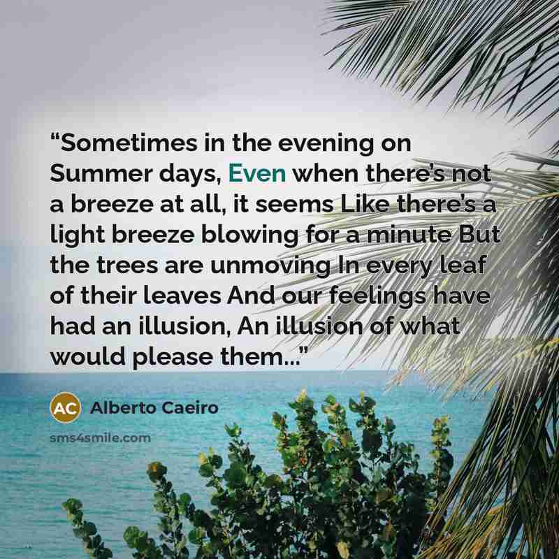 “Sometimes in the evening on Summer days, Even when there’s not a breeze at all, it seems Like there’s a light breeze blowing for a minute But the trees are unmoving In every leaf of their leaves And our feelings have had an illusion, An illusion of what would please them...” quote by Alberto Caeiro