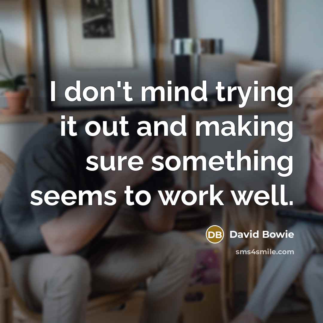 “I don't mind trying it out and making sure something seems to work well.” quote by David Bowie