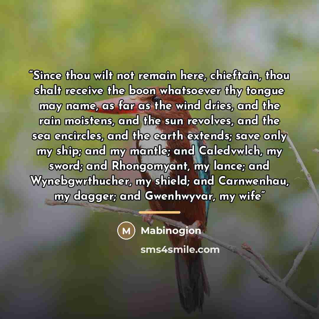 “Since thou wilt not remain here, chieftain, thou shalt receive the boon whatsoever thy tongue may name, as far as the wind dries, and the rain moistens, and the sun revolves, and the sea encircles, and the earth extends; save only my ship; and my mantle; and Caledvwlch, my sword; and Rhongomyant…” quote by Mabinogion