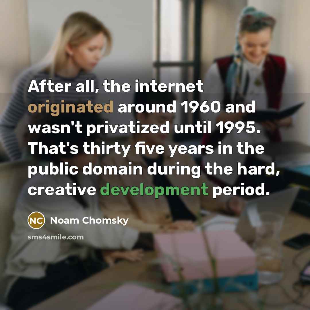 “After all, the internet originated around 1960 and wasn't privatized until 1995. That's thirty five years in the public domain during the hard, creative development period.” quote by Noam Chomsky