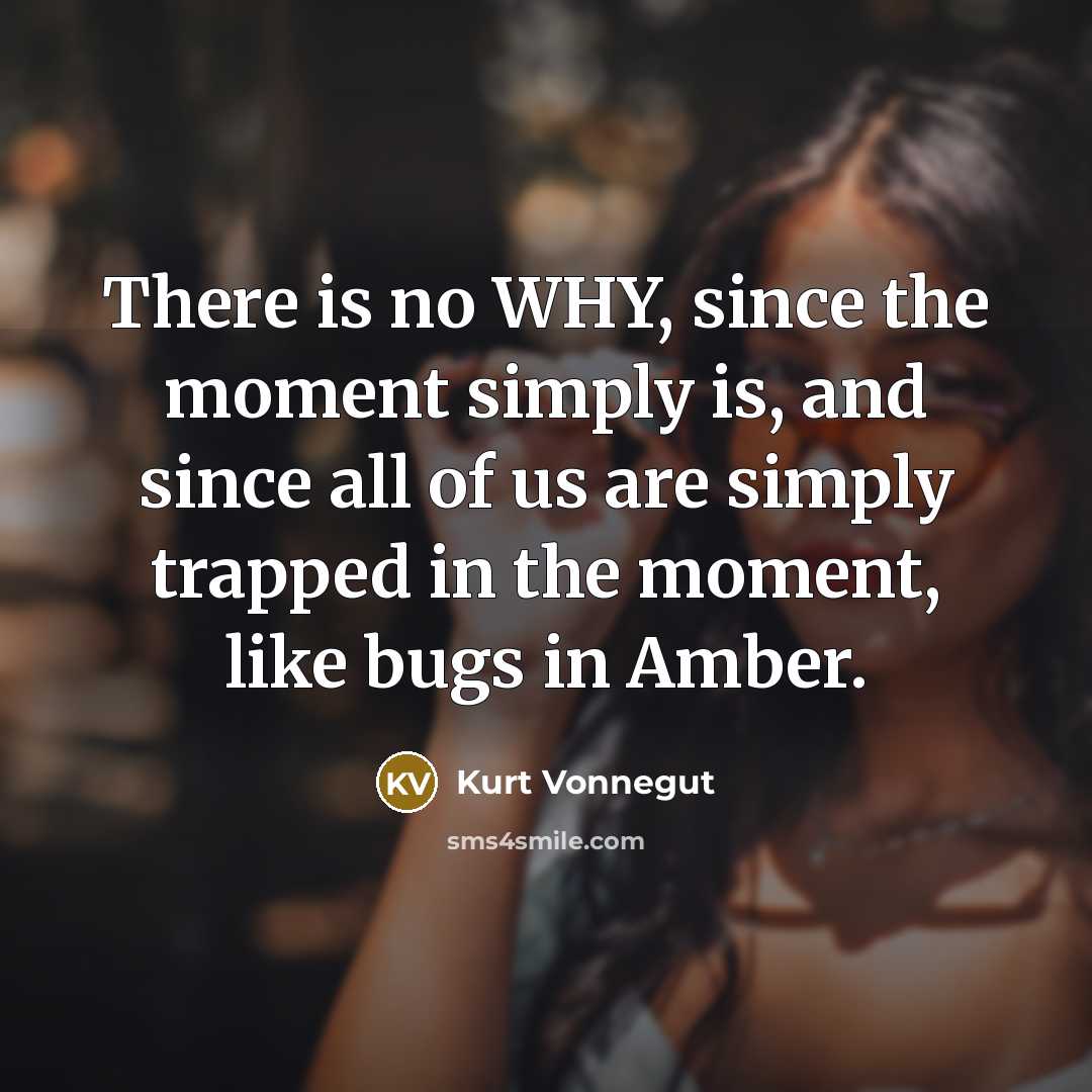 “There is no WHY, since the moment simply is, and since all of us are simply trapped in the moment, like bugs in Amber.” quote by Kurt Vonnegut