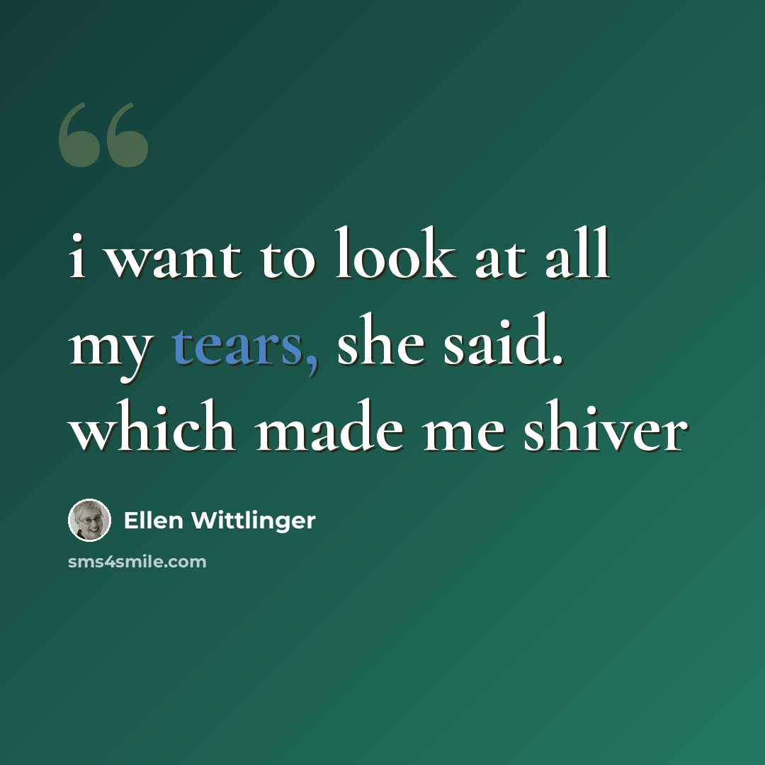 “i want to look at all my tears, she said. which made me shiver” quote by Ellen Wittlinger