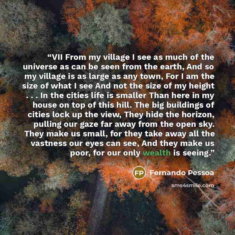 “VII From my village I see as much of the universe as can be seen from the earth, And so my village is as large as any town, For I am the size of what I see And not the size of my height . . . In the cities life is smaller Than here in my house on top of this hill. The big buildings of cities lock…” quote by Fernando Pessoa