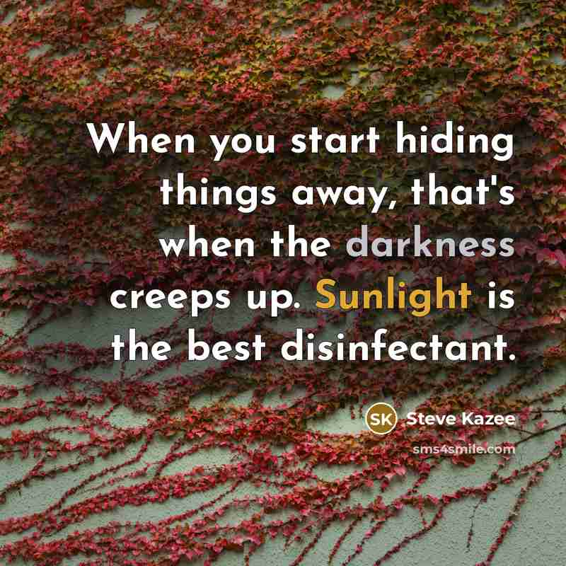 “When you start hiding things away, that's when the darkness creeps up. Sunlight is the best disinfectant.” quote by Steve Kazee