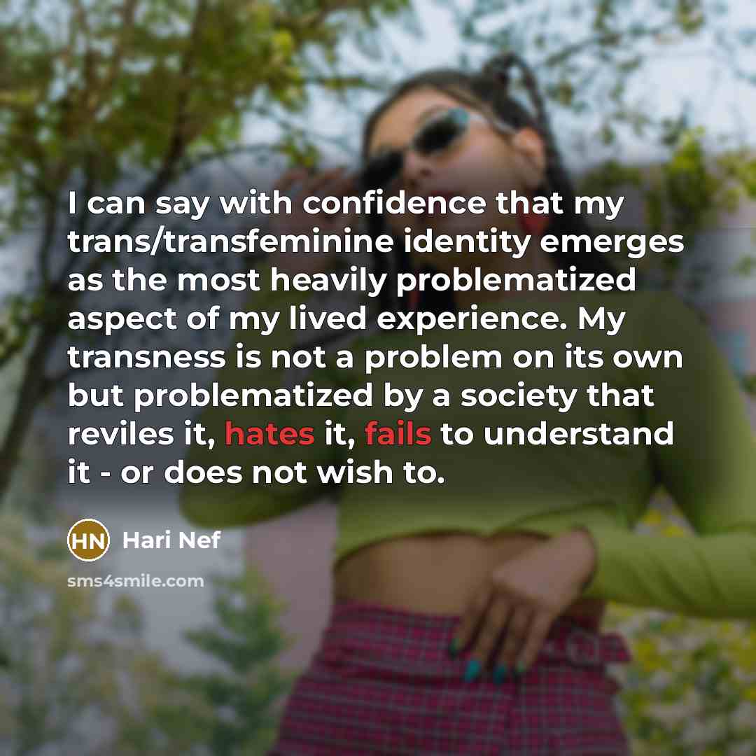 “I can say with confidence that my trans/transfeminine identity emerges as the most heavily problematized aspect of my lived experience. My transness is not a problem on its own but problematized by a society that reviles it, hates it, fails to understand it - or does not wish to.” quote by Hari Nef