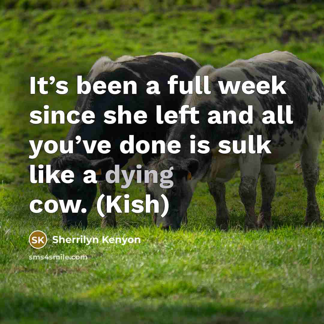 “It’s been a full week since she left and all you’ve done is sulk like a dying cow. (Kish)” quote by Sherrilyn Kenyon