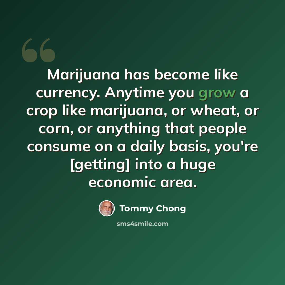 “Marijuana has become like currency. Anytime you grow a crop like marijuana, or wheat, or corn, or anything that people consume on a daily basis, you're [getting] into a huge economic area.” quote by Tommy Chong