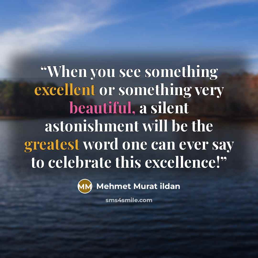 “When you see something excellent or something very beautiful, a silent astonishment will be the greatest word one can ever say to celebrate this excellence!” quote by Mehmet Murat ildan