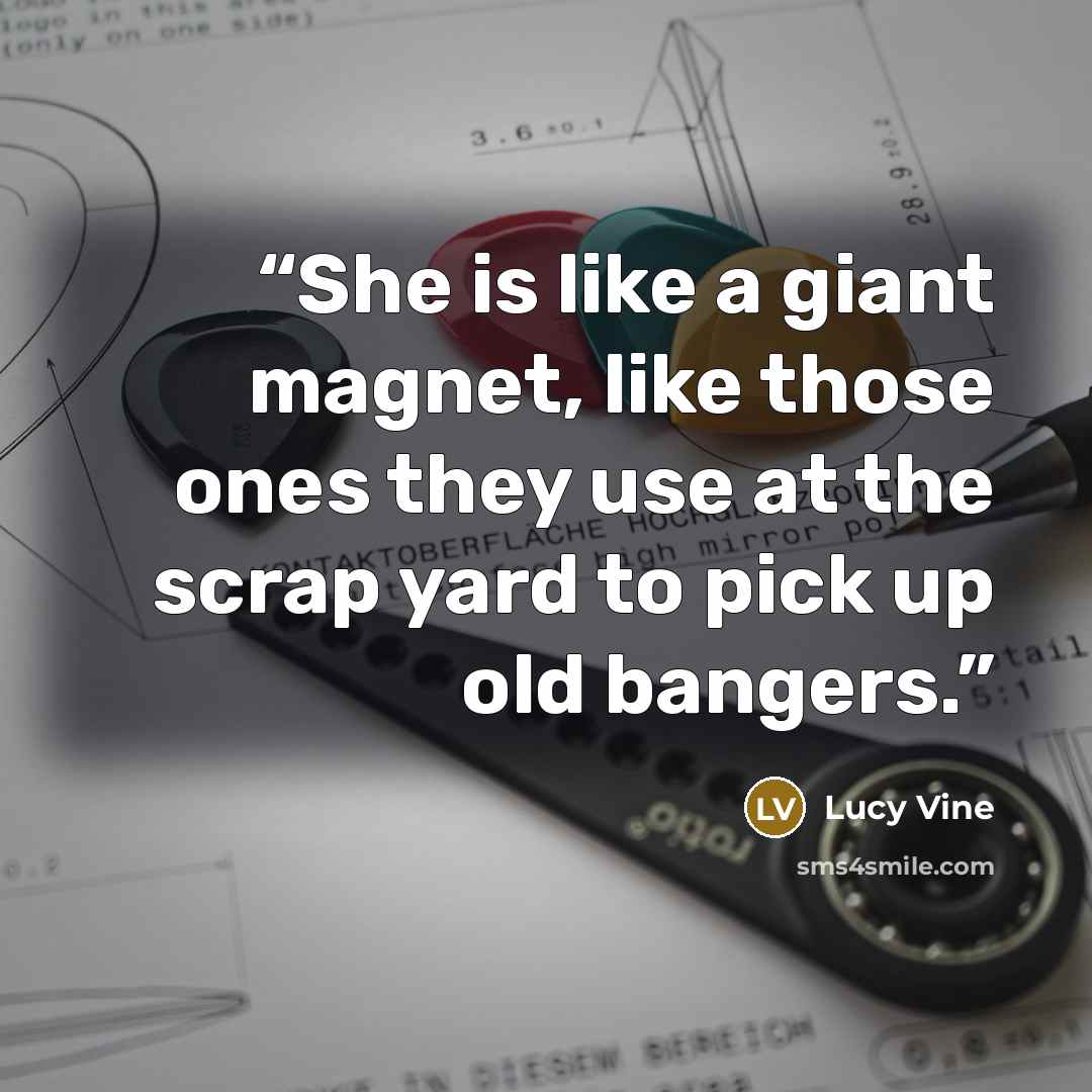“She is like a giant magnet, like those ones they use at the scrap yard to pick up old bangers.” quote by Lucy Vine