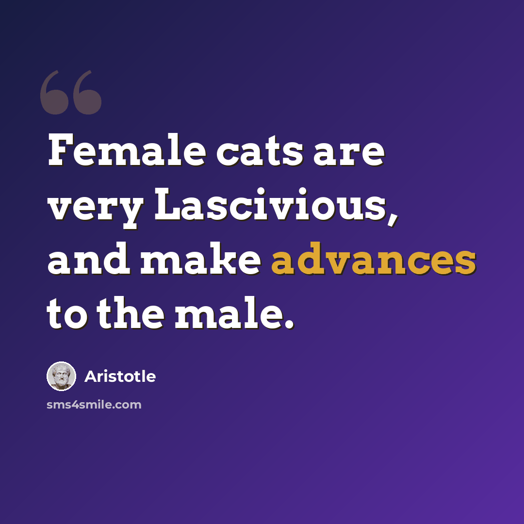“Female cats are very Lascivious, and make advances to the male.” quote by Aristotle