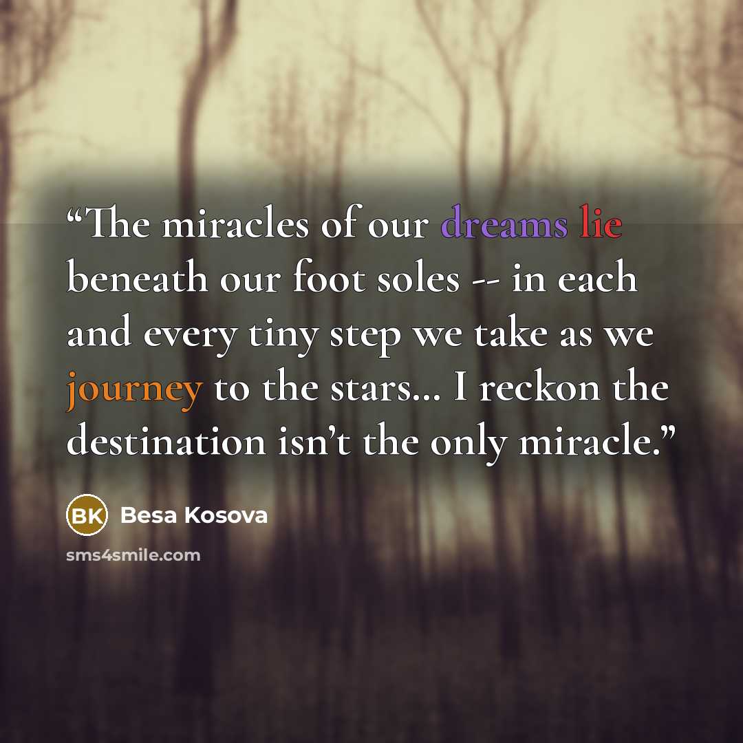 “The miracles of our dreams lie beneath our foot soles -- in each and every tiny step we take as we journey to the stars… I reckon the destination isn’t the only miracle.” quote by Besa Kosova
