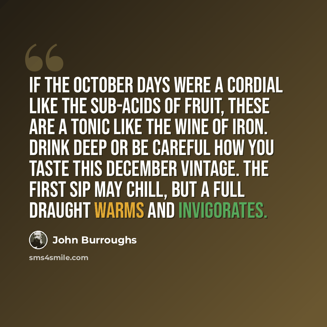 “If the October days were a cordial like the sub-acids of fruit, these are a tonic like the wine of iron. Drink deep or be careful how you taste this December vintage. The first sip may chill, but a full draught warms and invigorates.” quote by John Burroughs