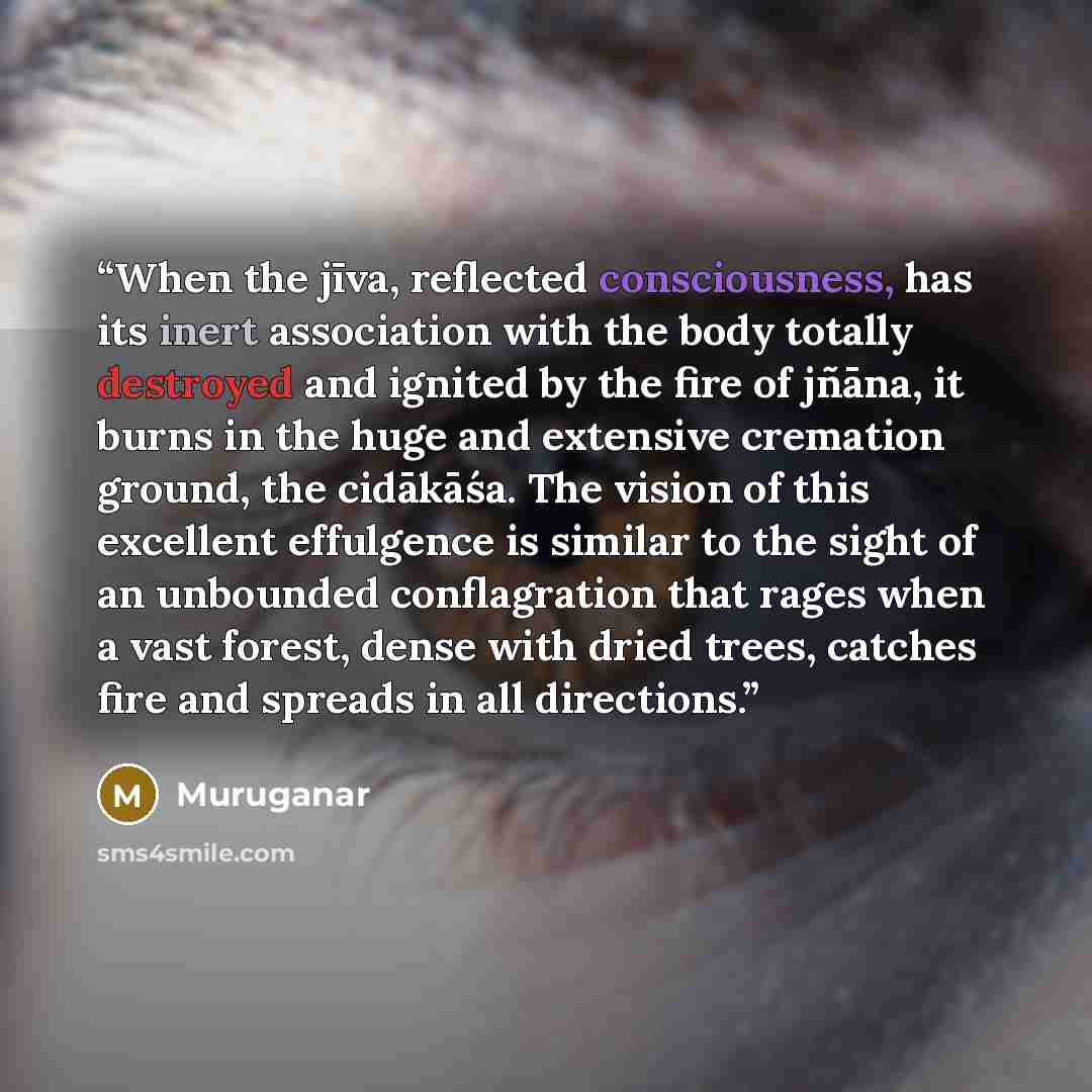 “When the jīva, reflected consciousness, has its inert association with the body totally destroyed and ignited by the fire of jñāna, it burns in the huge and extensive cremation ground, the cidākāśa. The vision of this excellent effulgence is similar to the sight of an unbounded conflagration that…” quote by Muruganar