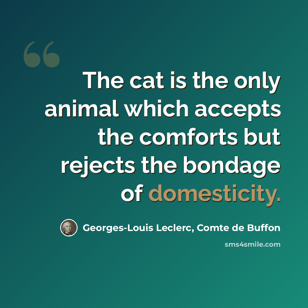 “The cat is the only animal which accepts the comforts but rejects the bondage of domesticity.” quote by Georges-Louis Leclerc, Comte de Buffon