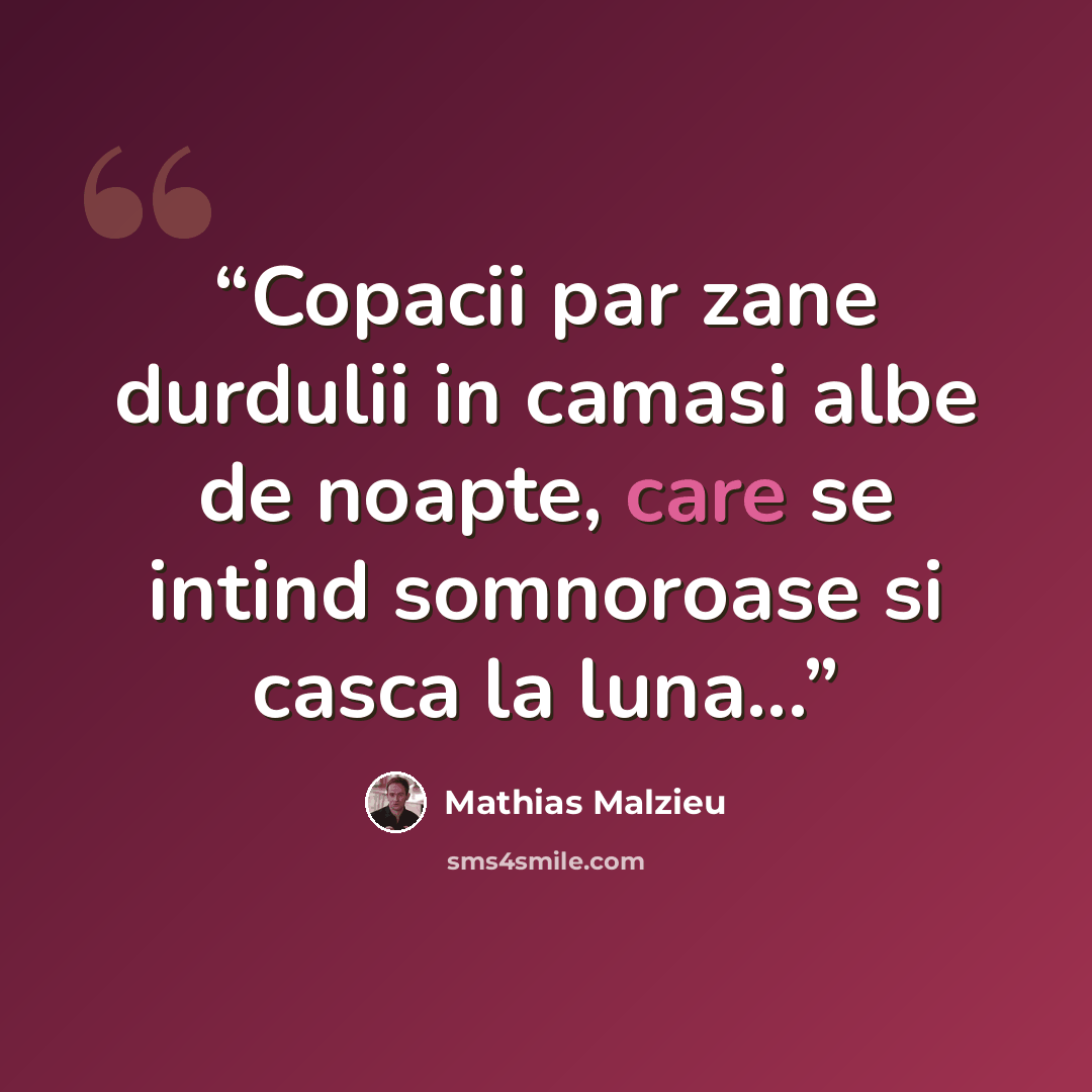 “Copacii par zane durdulii in camasi albe de noapte, care se intind somnoroase si casca la luna...” quote by Mathias Malzieu