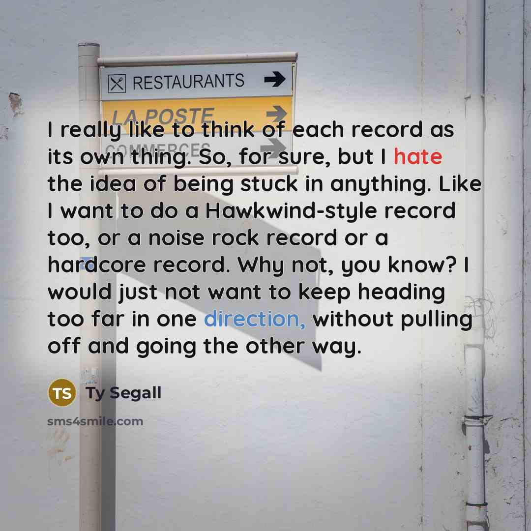 “I really like to think of each record as its own thing. So, for sure, but I hate the idea of being stuck in anything. Like I want to do a Hawkwind-style record too, or a noise rock record or a hardcore record. Why not, you know? I would just not want to keep heading too far in one direction…” quote by Ty Segall