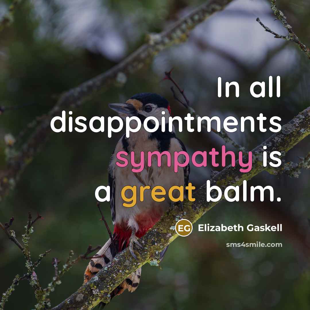 “In all disappointments sympathy is a great balm.” quote by Elizabeth Gaskell