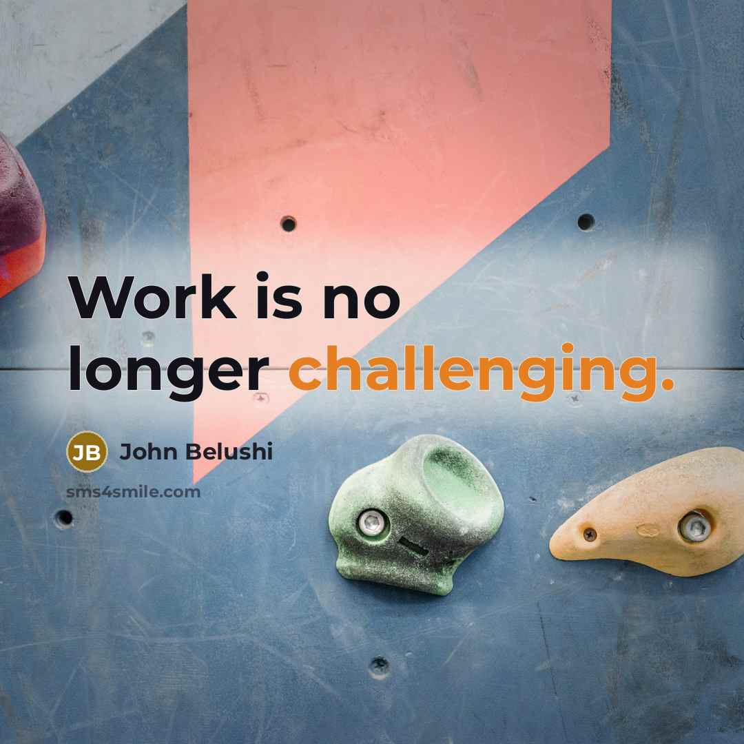“Work is no longer challenging.” quote by John Belushi