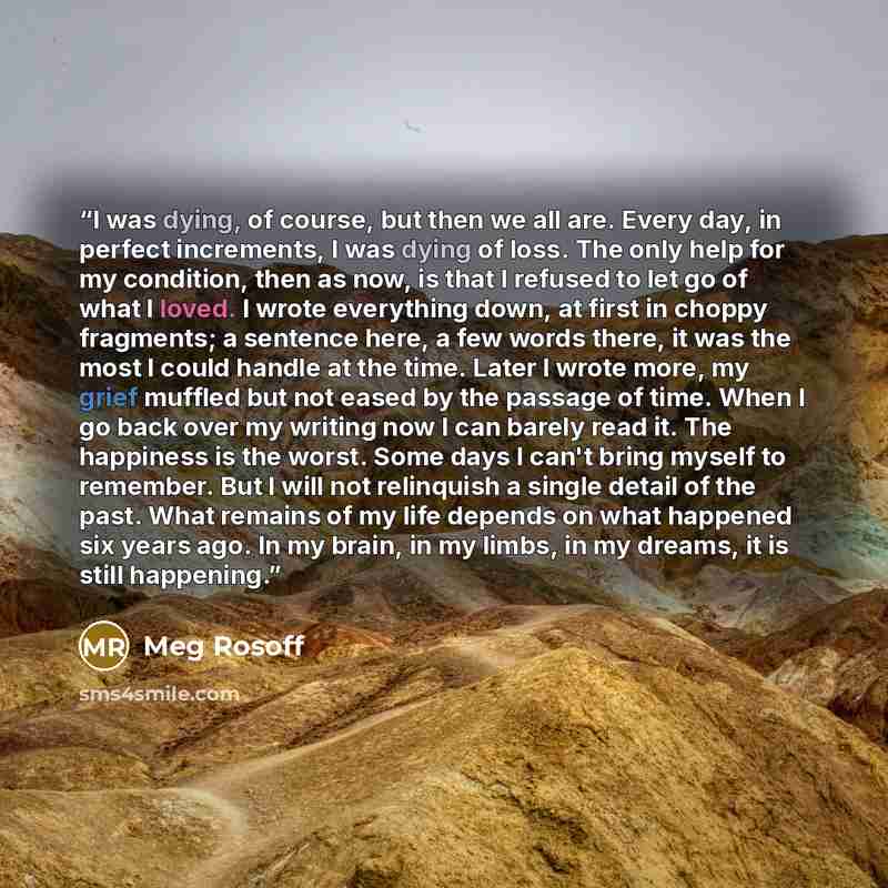 “I was dying, of course, but then we all are. Every day, in perfect increments, I was dying of loss. The only help for my condition, then as now, is that I refused to let go of what I loved. I wrote everything down, at first in choppy fragments; a sentence here, a few words there, it was the most I…” quote by Meg Rosoff