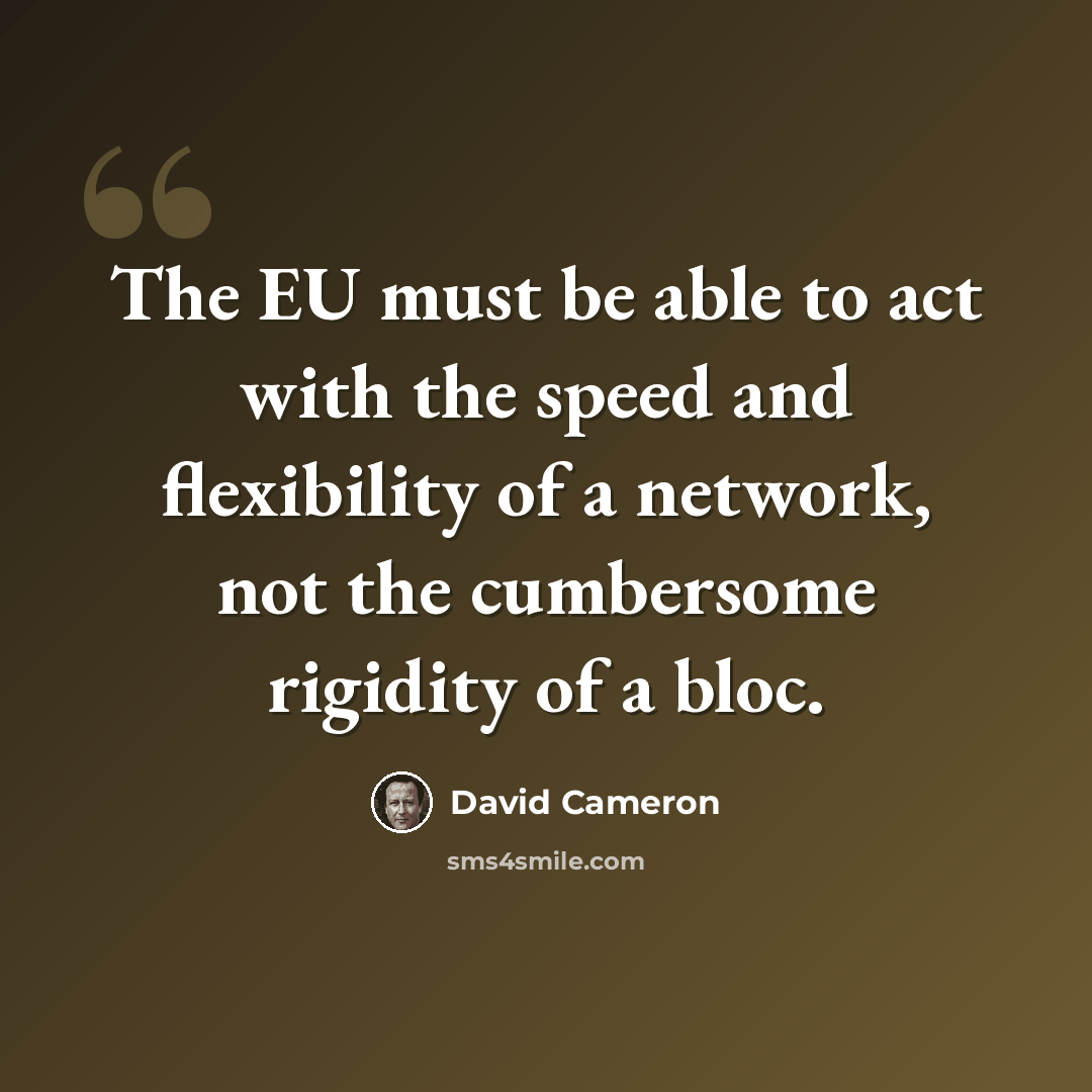 “The EU must be able to act with the speed and flexibility of a network, not the cumbersome rigidity of a bloc.” quote by David Cameron