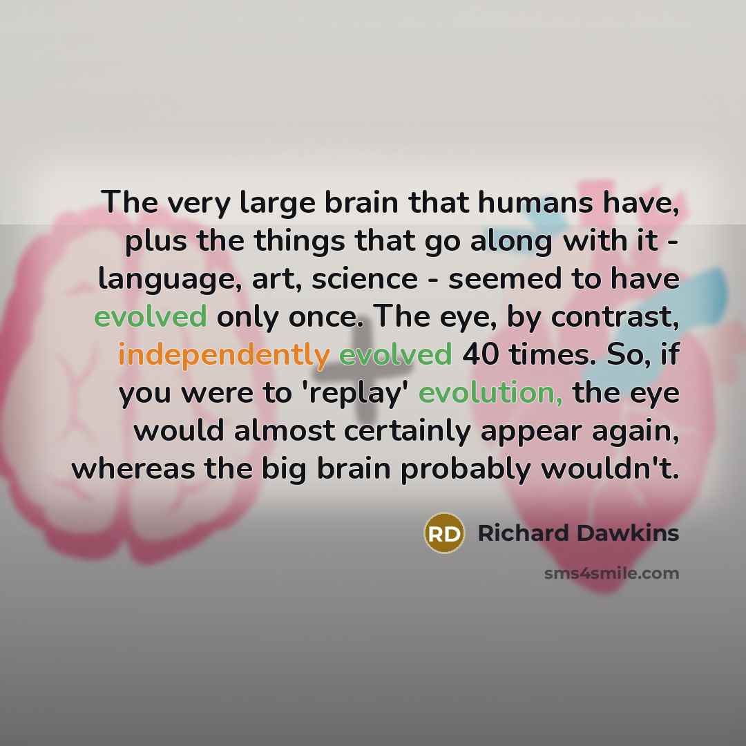 “The very large brain that humans have, plus the things that go along with it - language, art, science - seemed to have evolved only once. The eye, by contrast, independently evolved 40 times. So, if you were to 'replay' evolution, the eye would almost certainly appear again, whereas the big brain…” quote by Richard Dawkins
