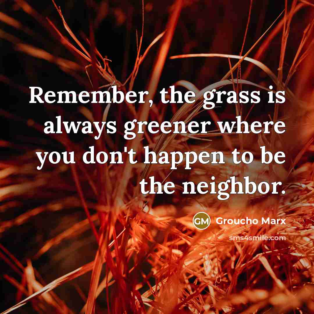 “Remember, the grass is always greener where you don't happen to be the neighbor.” quote by Groucho Marx