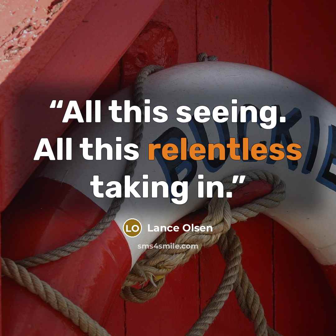 “All this seeing. All this relentless taking in.” quote by Lance Olsen