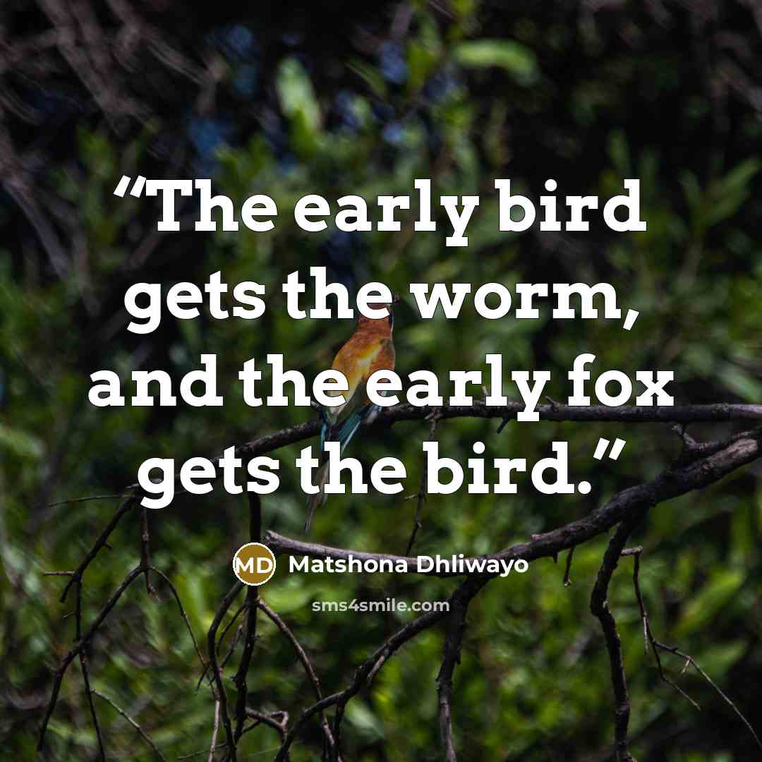 “The early bird gets the worm, and the early fox gets the bird.” quote by Matshona Dhliwayo