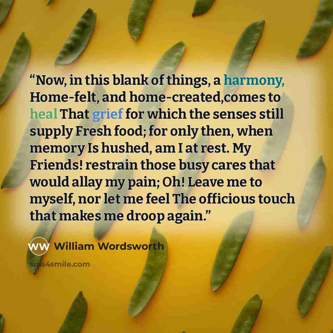 “Now, in this blank of things, a harmony, Home-felt, and home-created,comes to heal That grief for which the senses still supply Fresh food; for only then, when memory Is hushed, am I at rest. My Friends! restrain those busy cares that would allay my pain; Oh! Leave me to myself, nor let me feel…” quote by William Wordsworth