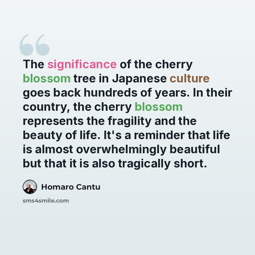 “The significance of the cherry blossom tree in Japanese culture goes back hundreds of years. In their country, the cherry blossom represents the fragility and the beauty of life. It's a reminder that life is almost overwhelmingly beautiful but that it is also tragically short.” quote by Homaro Cantu