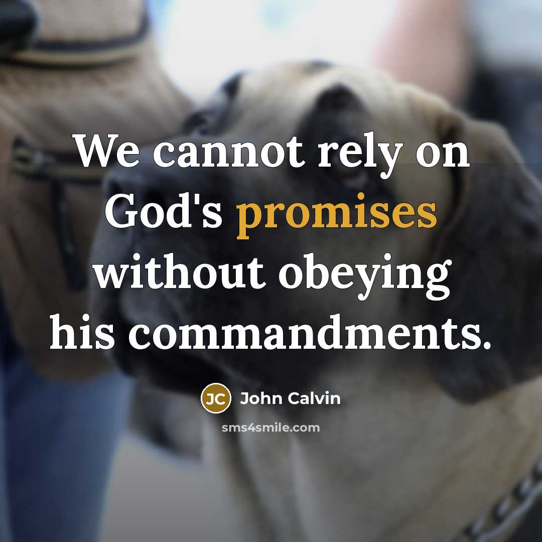 “We cannot rely on God's promises without obeying his commandments.” quote by John Calvin