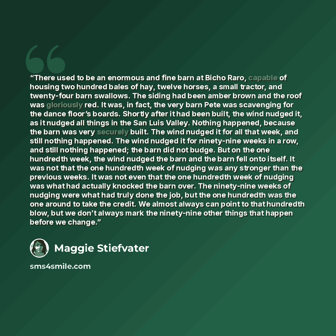 “There used to be an enormous and fine barn at Bicho Raro, capable of housing two hundred bales of hay, twelve horses, a small tractor, and twenty-four barn swallows. The siding had been amber brown and the roof was gloriously red. It was, in fact, the very barn Pete was scavenging for the dance…” quote by Maggie Stiefvater