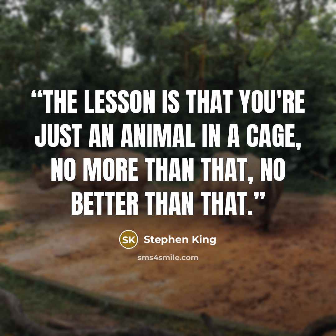 “The lesson is that you're just an animal in a cage, no more than that, no better than that.” quote by Stephen King