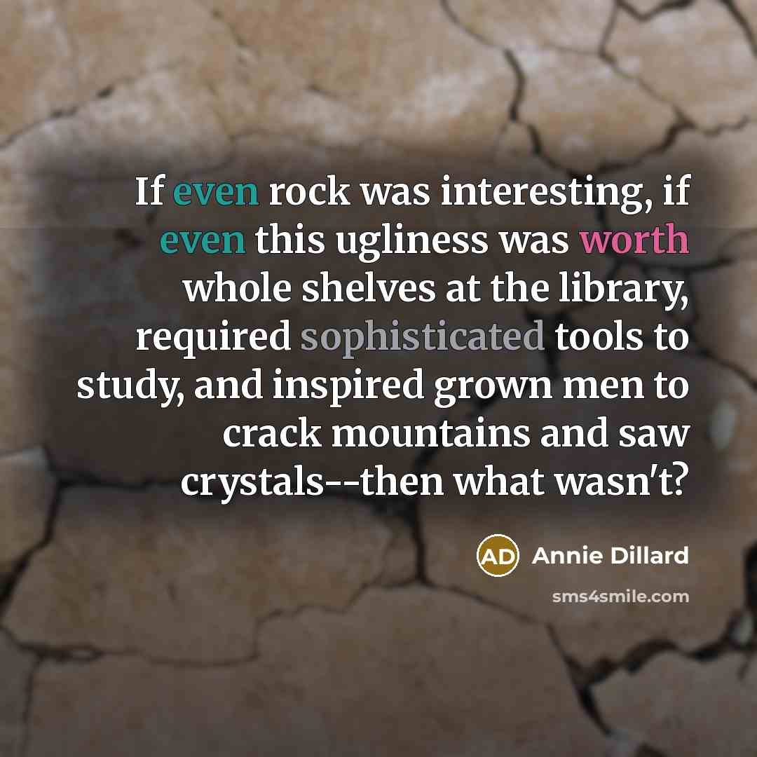 “If even rock was interesting, if even this ugliness was worth whole shelves at the library, required sophisticated tools to study, and inspired grown men to crack mountains and saw crystals--then what wasn't?” quote by Annie Dillard