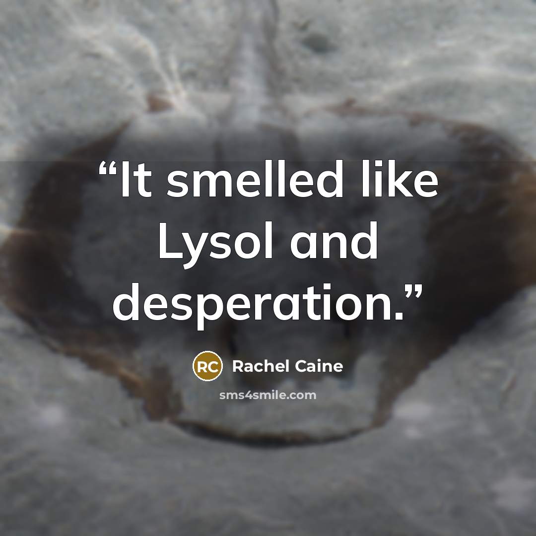 “It smelled like Lysol and desperation.” quote by Rachel Caine