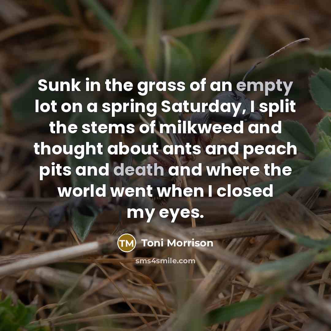“Sunk in the grass of an empty lot on a spring Saturday, I split the stems of milkweed and thought about ants and peach pits and death and where the world went when I closed my eyes.” quote by Toni Morrison