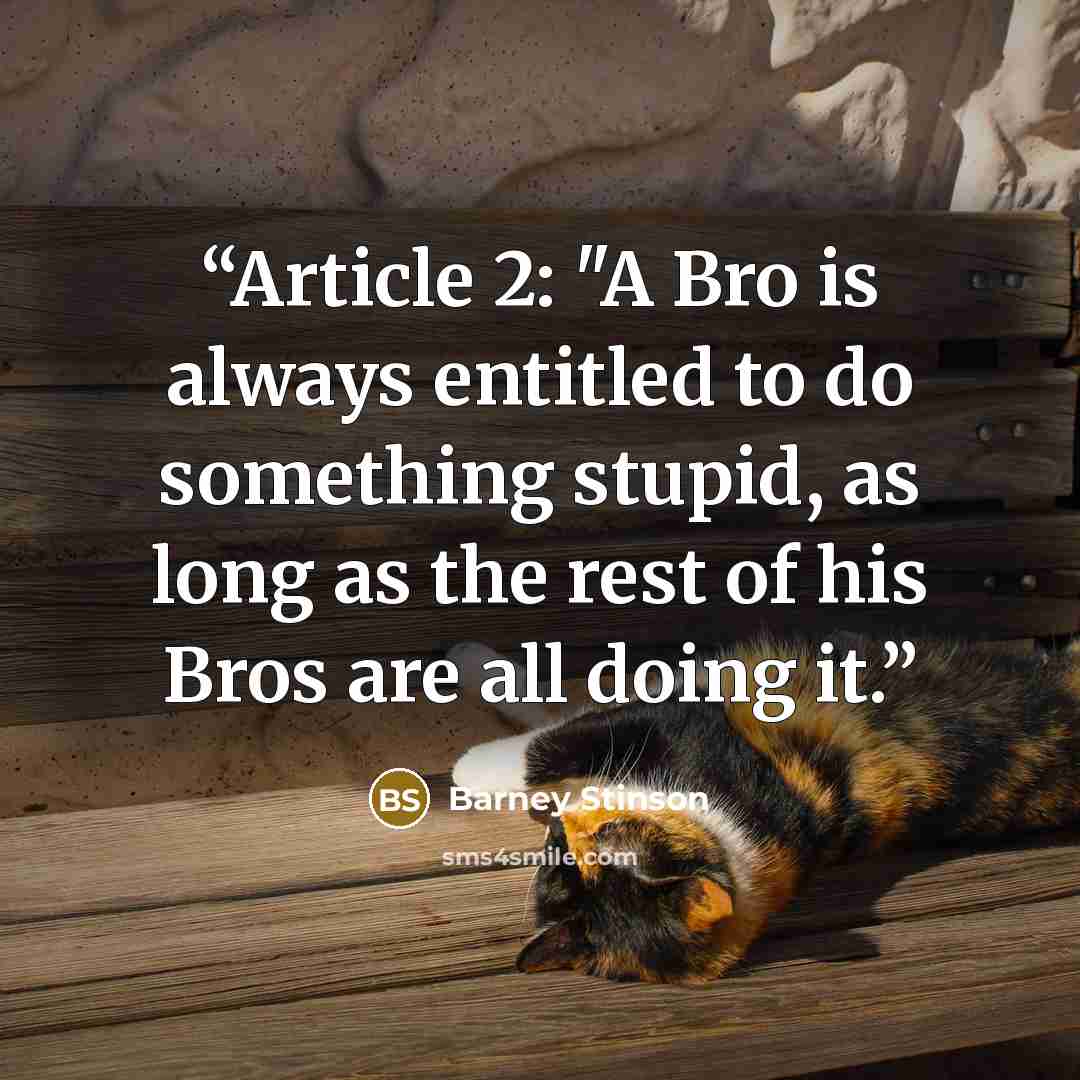 “Article 2: "A Bro is always entitled to do something stupid, as long as the rest of his Bros are all doing it.” quote by Barney Stinson