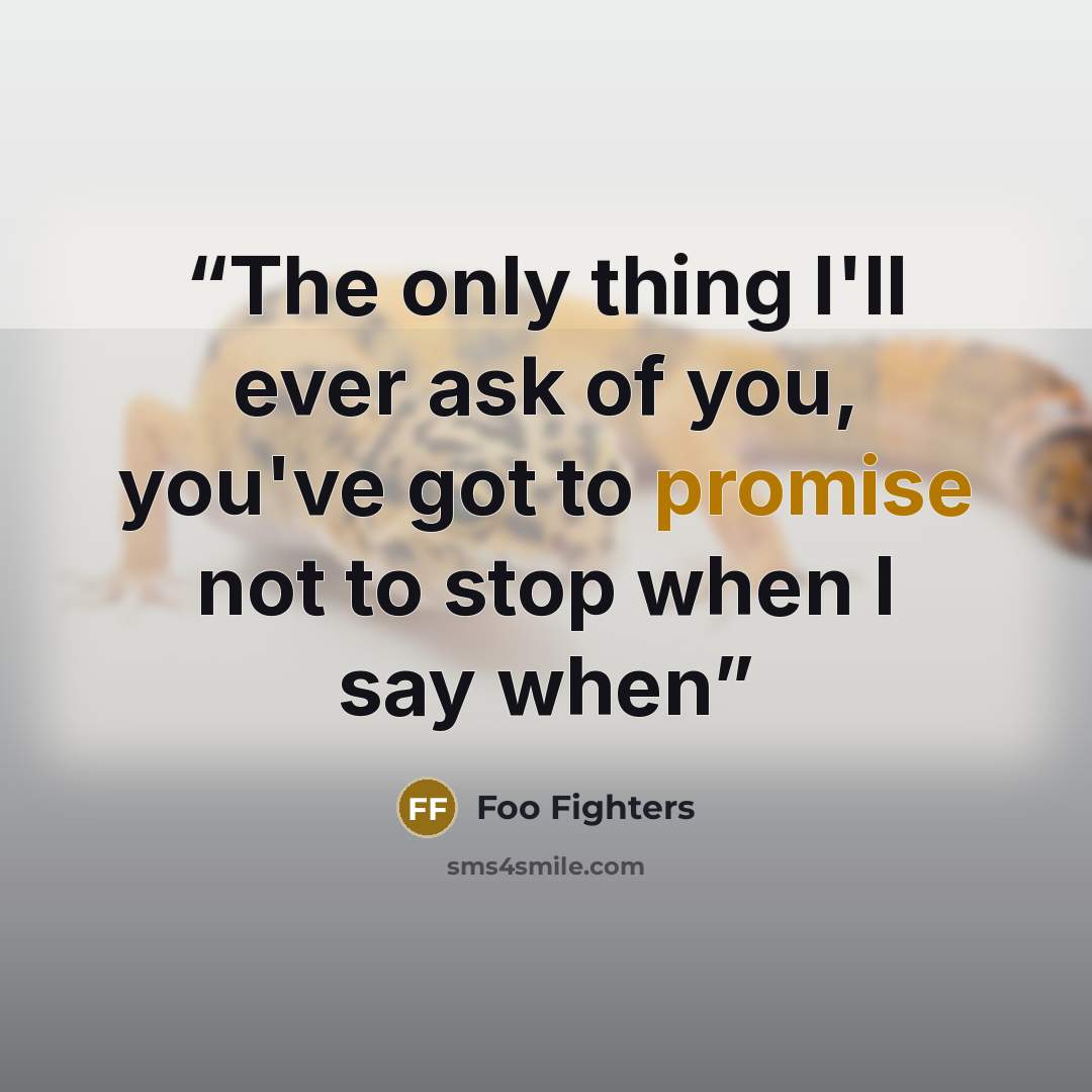 “The only thing I'll ever ask of you, you've got to promise not to stop when I say when” quote by Foo Fighters