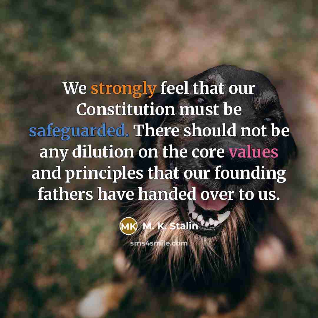 “We strongly feel that our Constitution must be safeguarded. There should not be any dilution on the core values and principles that our founding fathers have handed over to us.” quote by M. K. Stalin