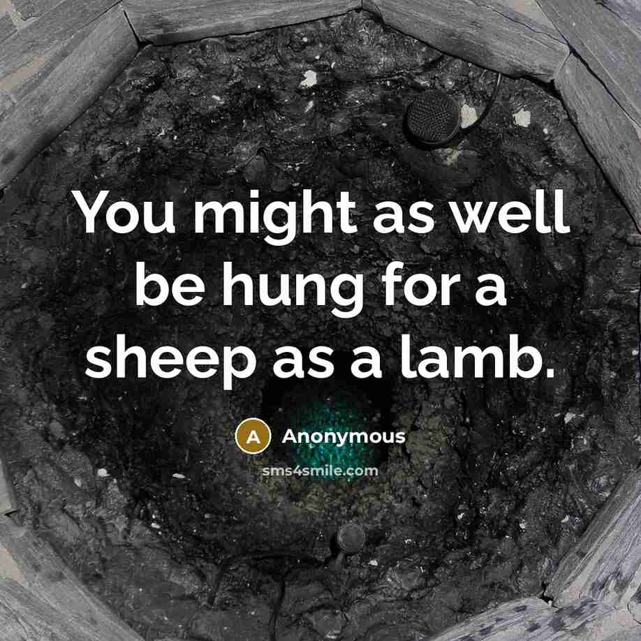 “You might as well be hung for a sheep as a lamb.” quote by Anonymous