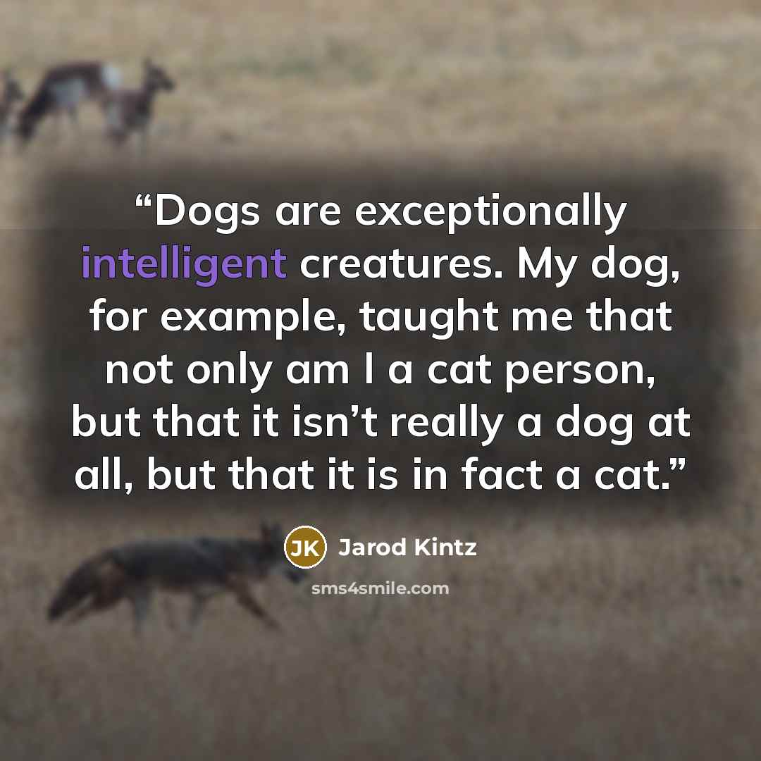 “Dogs are exceptionally intelligent creatures. My dog, for example, taught me that not only am I a cat person, but that it isn’t really a dog at all, but that it is in fact a cat.” quote by Jarod Kintz