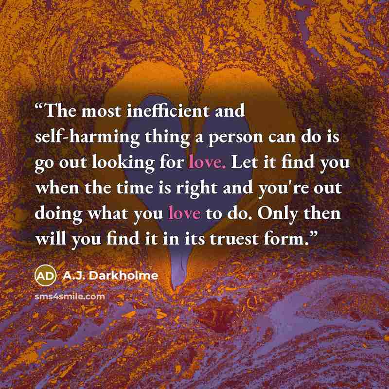 “The most inefficient and self-harming thing a person can do is go out looking for love. Let it find you when the time is right and you're out doing what you love to do. Only then will you find it in its truest form.” quote by A.J. Darkholme