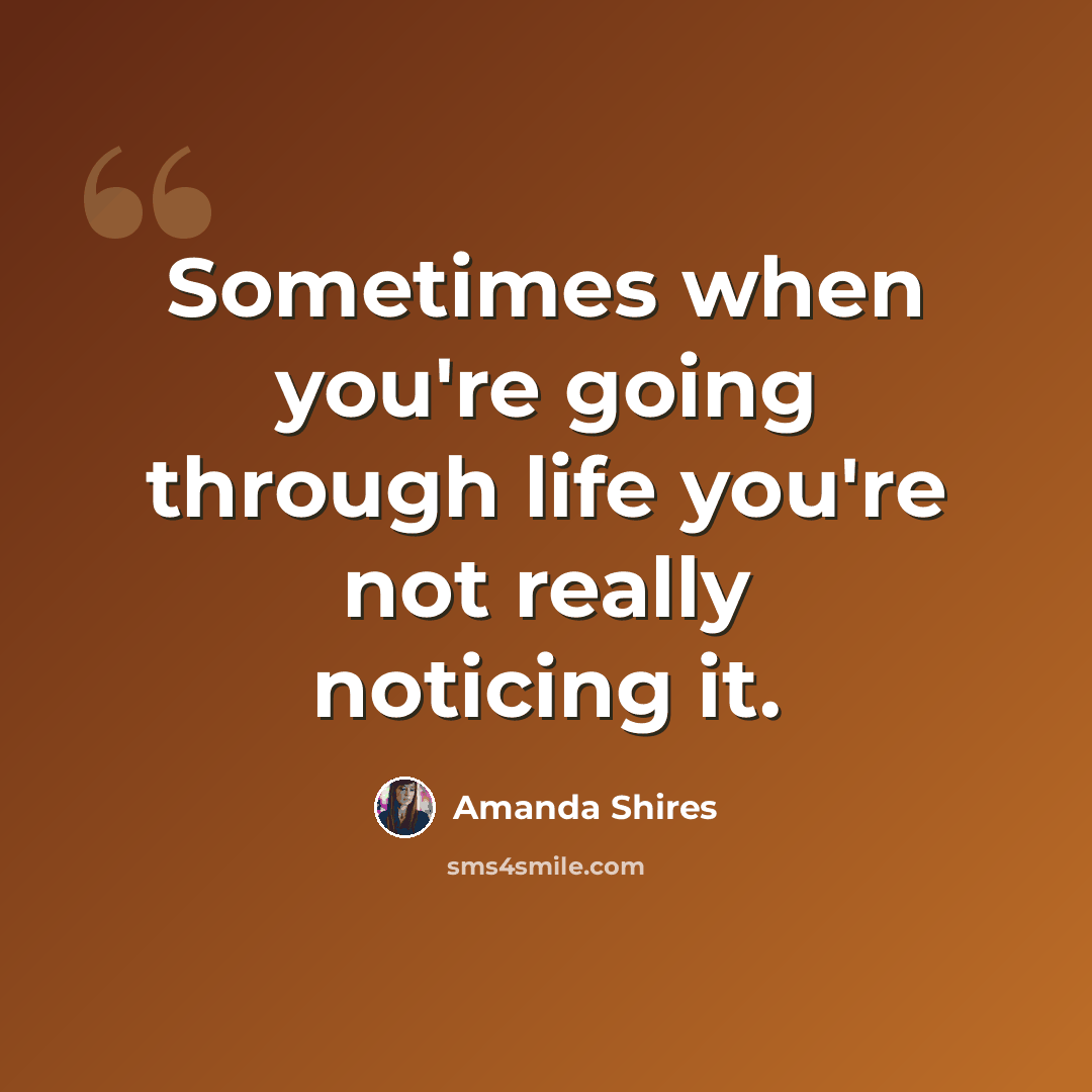 “Sometimes when you're going through life you're not really noticing it.” quote by Amanda Shires