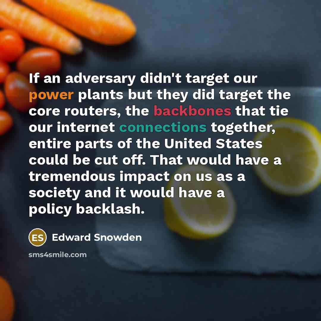 “If an adversary didn't target our power plants but they did target the core routers, the backbones that tie our internet connections together, entire parts of the United States could be cut off. That would have a tremendous impact on us as a society and it would have a policy backlash.” quote by Edward Snowden