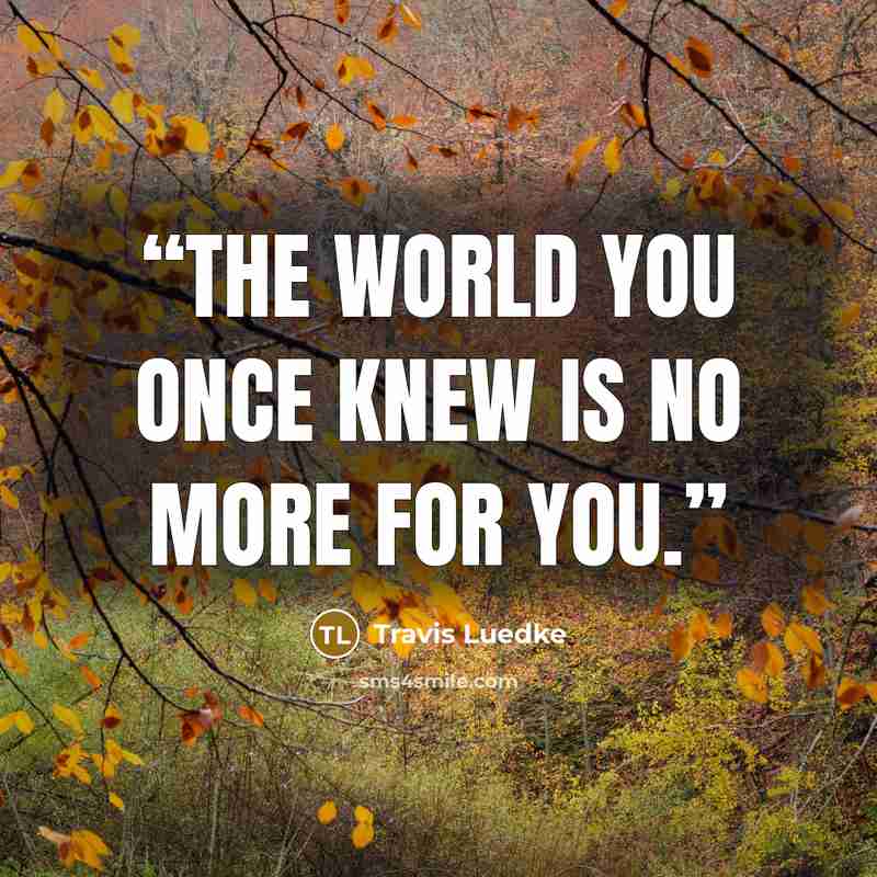 “The world you once knew is no more for you.” quote by Travis Luedke