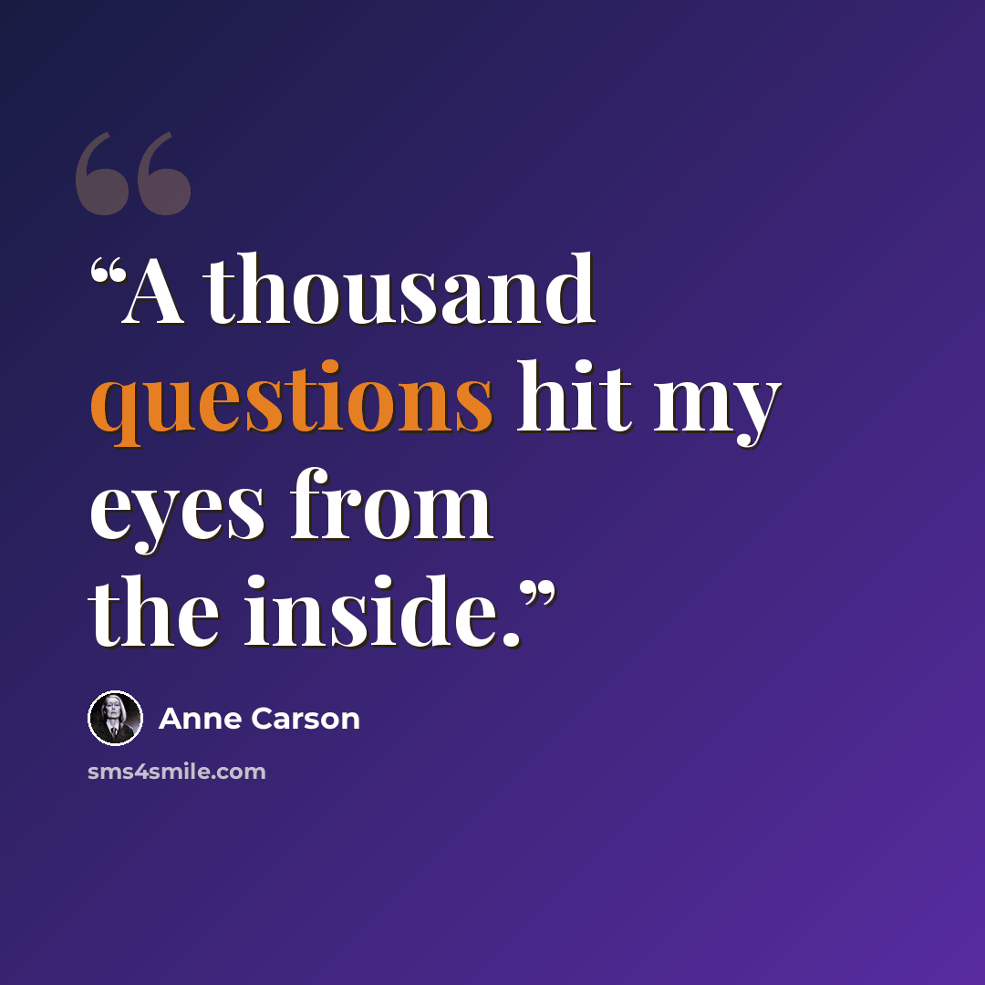 “A thousand questions hit my eyes from the inside.” quote by Anne Carson