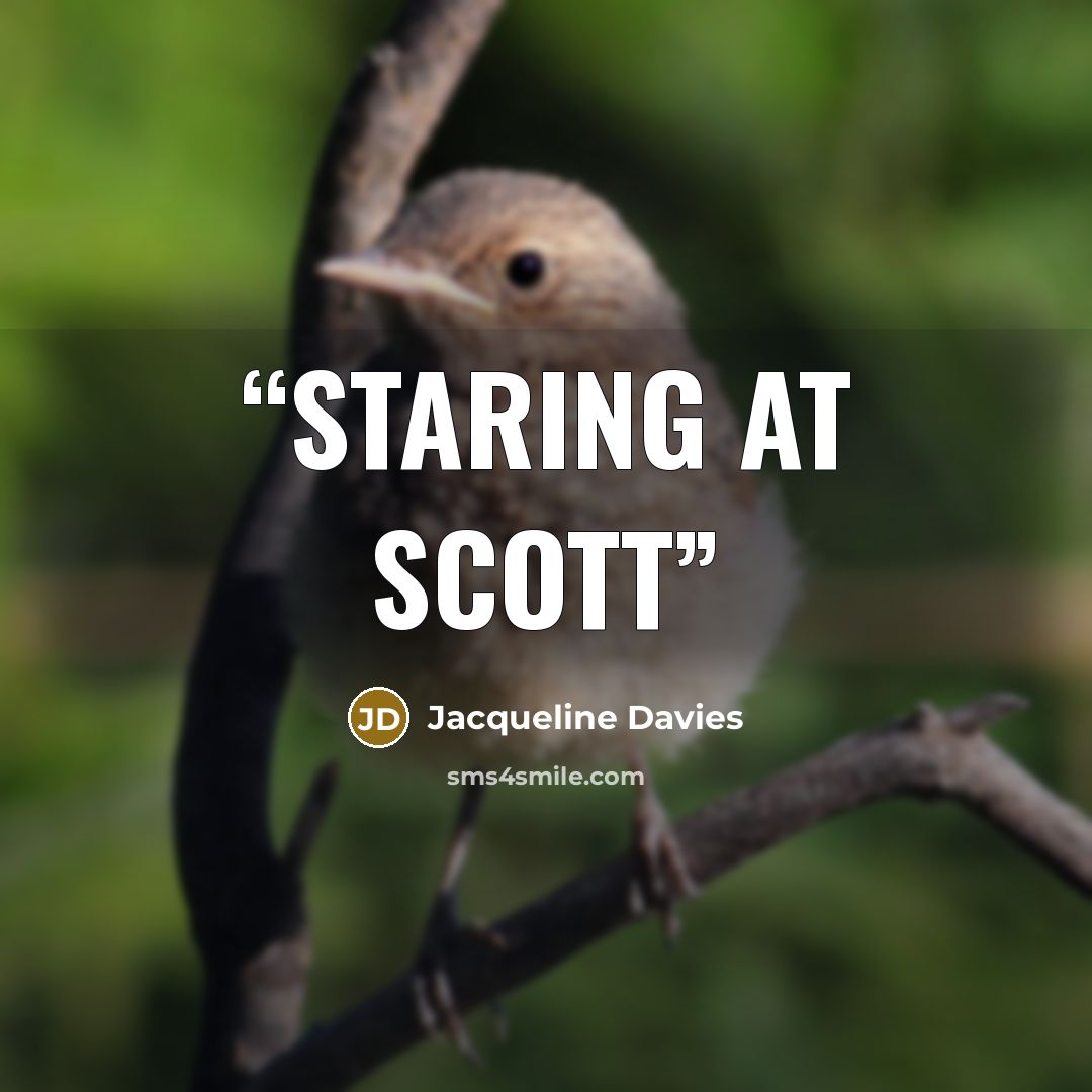 “staring at Scott” quote by Jacqueline Davies