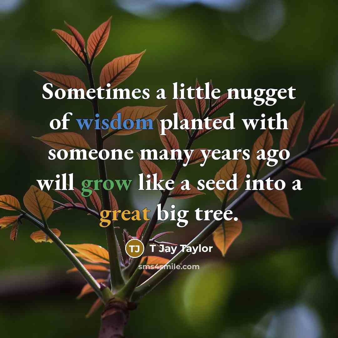 “Sometimes a little nugget of wisdom planted with someone many years ago will grow like a seed into a great big tree.” quote by T Jay Taylor