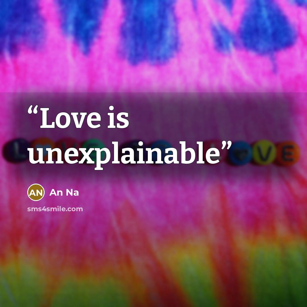 “Love is unexplainable” quote by An Na